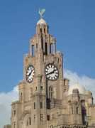 geograph.org.uk Liverbirds