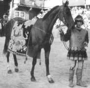 ilpalio.org Livietta