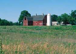 Livington