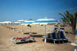 colorbook.net Livini