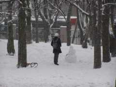 photo.i.ua Livka