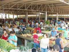 mandacarudaserra.com.br Livramento