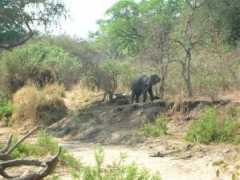 thejointmalawi.com Liwonde