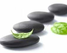 bodaclick.com.mx Lizardos