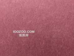 Lizhi