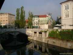 Ljub