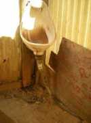 urinal.net Llantera