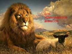 ibbmaipu.cl Lleon
