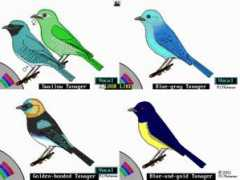 enjoybirds.com Llike