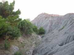 Loamy