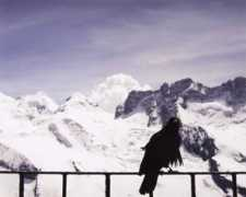 vfgonline.ch Loannguyen