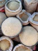 Lobad