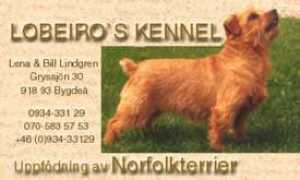 kennelgoldmine.com Lobeiro