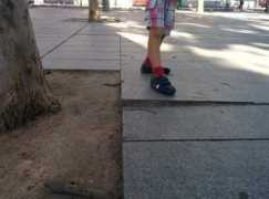 Lobete