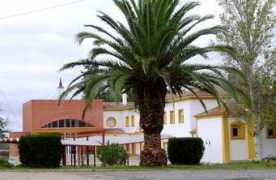 panoramio.com Lobon