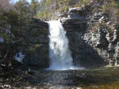 2020action.org Lobsien