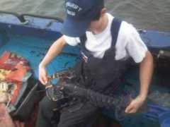 irishtrawlers.informe.com Lobsters