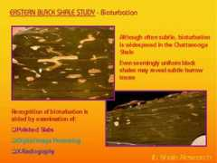 shale-mudstone-research-schieber.indiana.edu Lobza