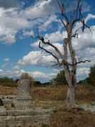 Locri