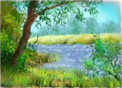 ratemydrawings.com Locuri