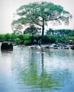 Lodong