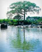 Lodong