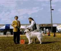 kuvasz.net Lofranco