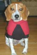 Loggins