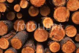 Logs