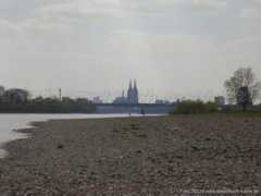 Lohmer
