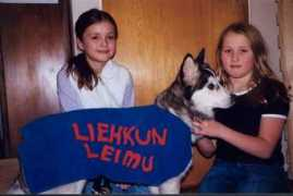Loimi