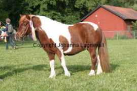 johannalagnevall.com Lojana