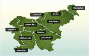 tvslovenija.si Lokalne