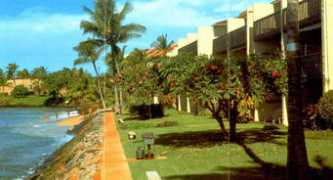 bluemoonrentals.com Lokelani