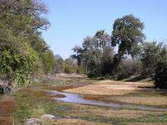 Lokola