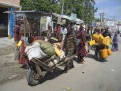 blogs.sacbee.com Lokori