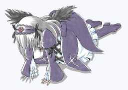 Lolico
