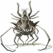 Lolth