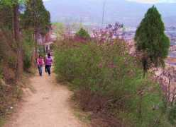 Longcheng