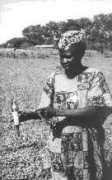 c3.hu Longole