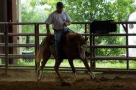 slidenstyle.com Loping
