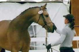 goldhopefarm.com Loraina