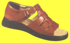 fittedshoe.com Lorane