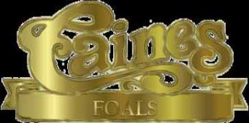 cainesstallionstation.com Lorante