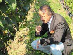 thewinecellarinsider.com Lorat