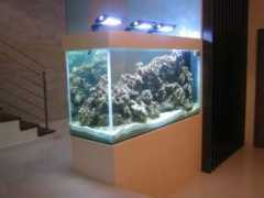 sgreefclub.com Lorensia