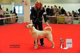 telemail.fi Lorianna