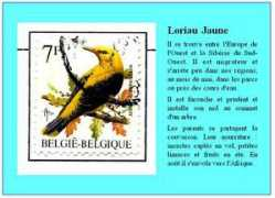 abelpierre.free.fr Loriau