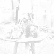 roses-molnar.ro Lorile