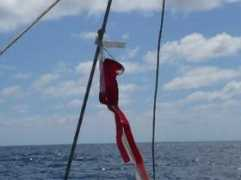 time-for-a-catamaran-adventure.com Lorill
